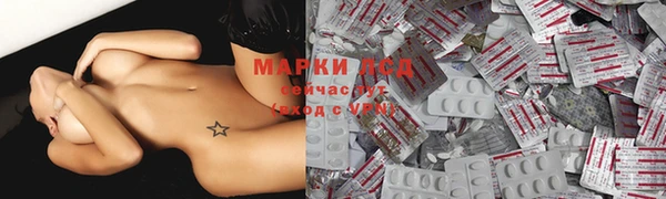 мяу мяу мука Кукмор