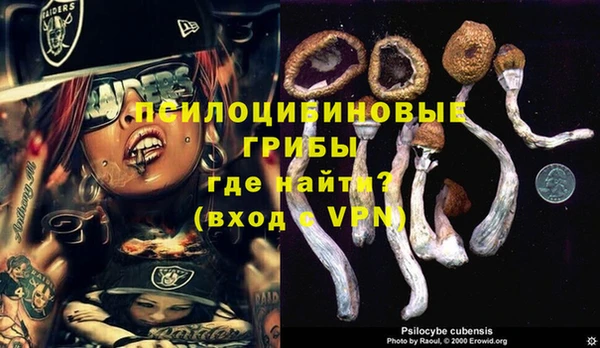 мяу мяу мука Кукмор