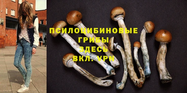мяу мяу мука Кукмор